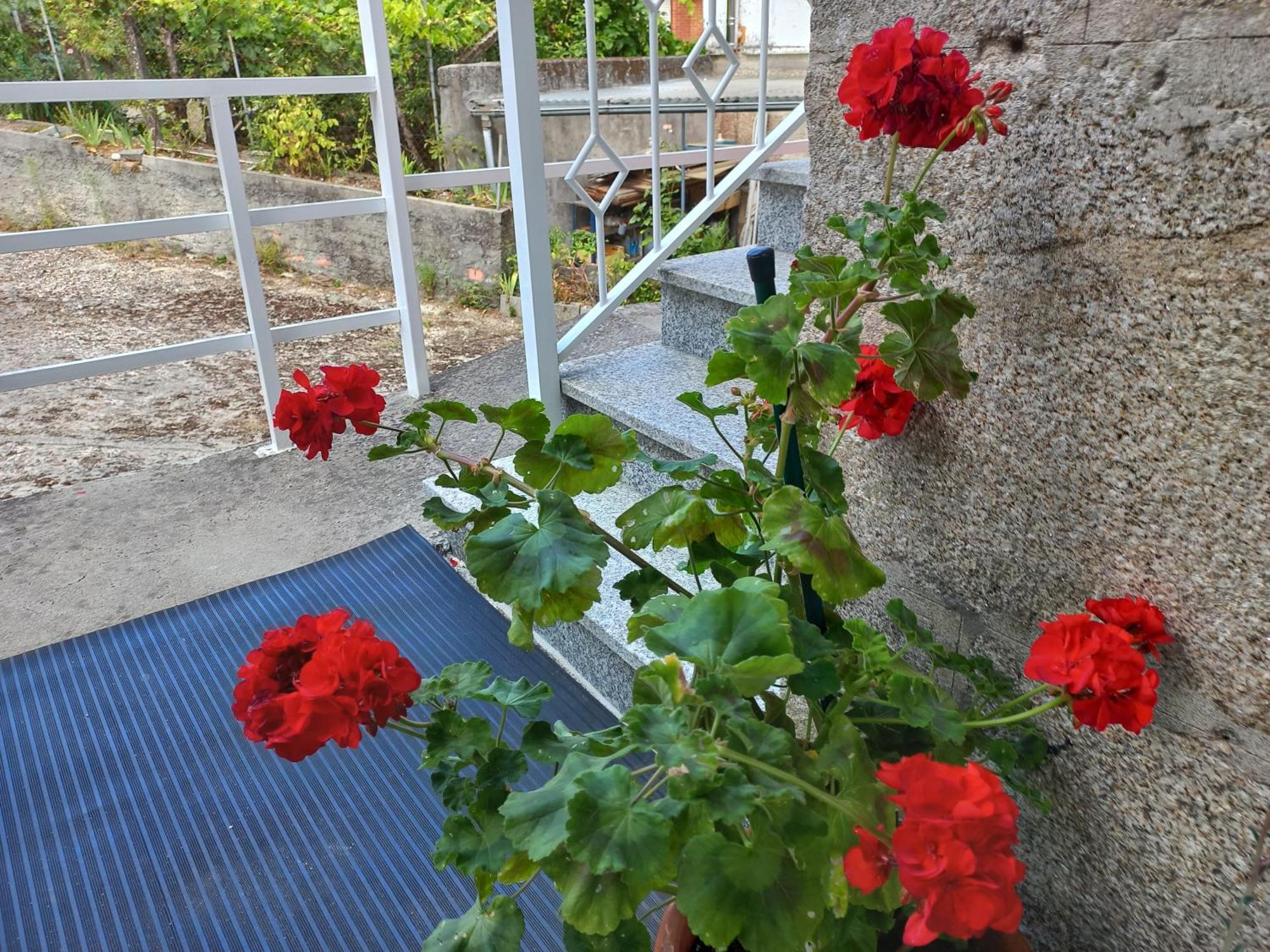 Piso Villa Aurora Carballino Dış mekan fotoğraf